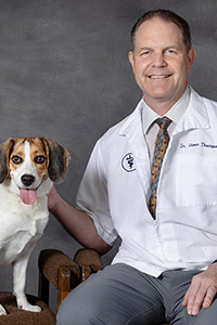 Steve B. Thompson, DVM, DABVP-Canine and Feline Practice