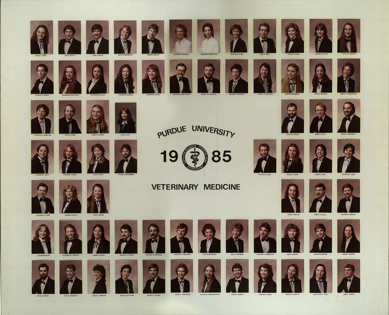 Class of 1985 Photo