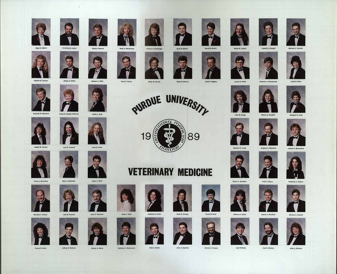 Class of 1989 Photo