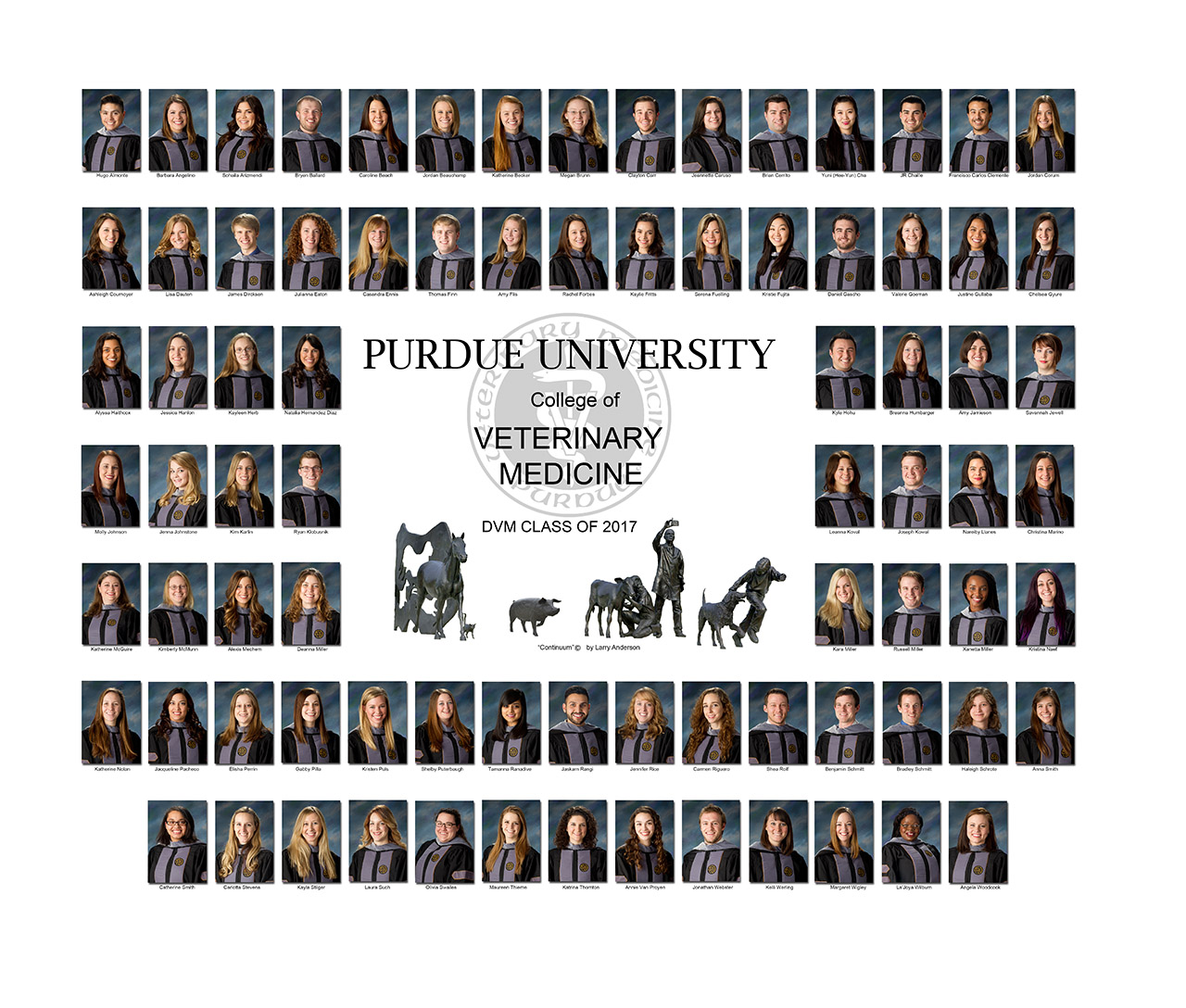 Class of 2017 Photo