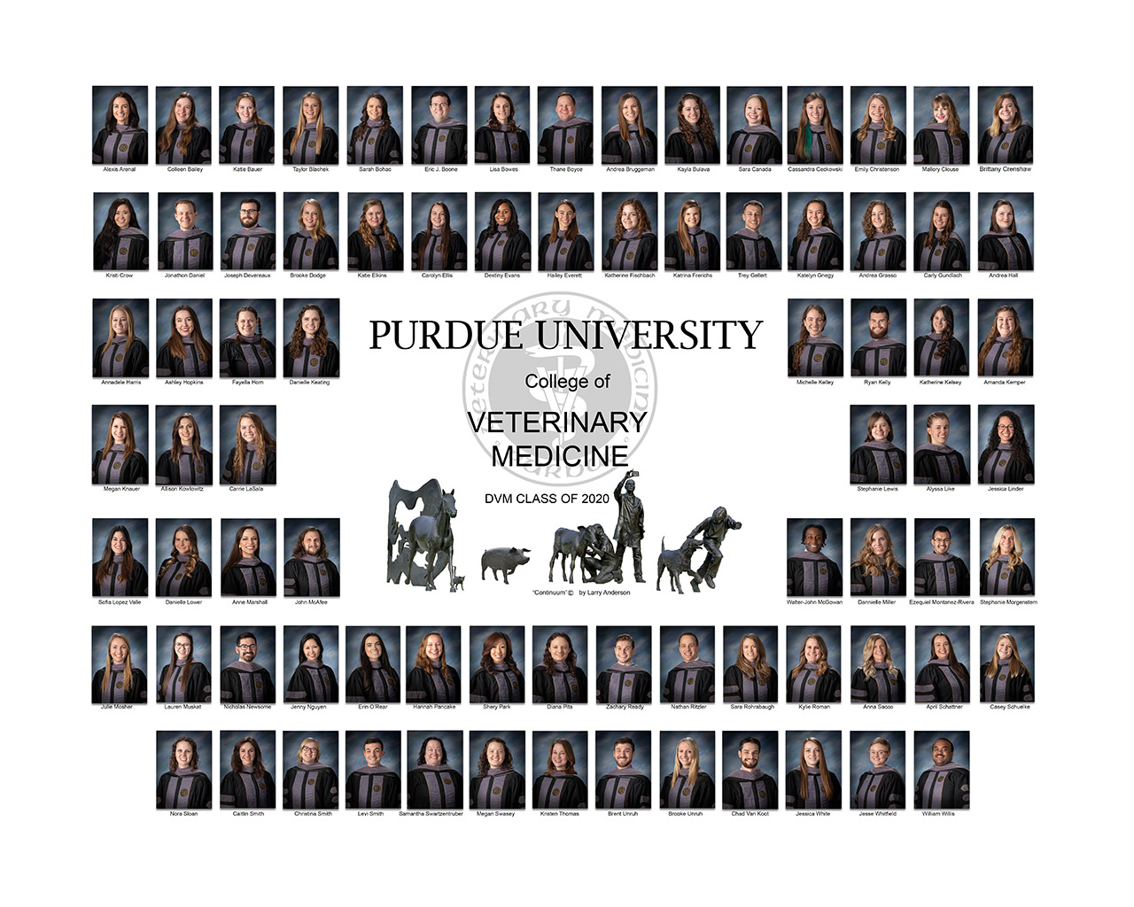 Class of 2020 Photo