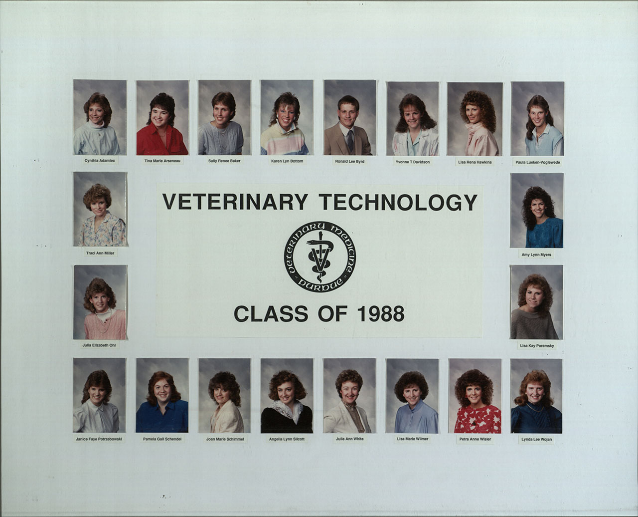 Class of 1988 Photo