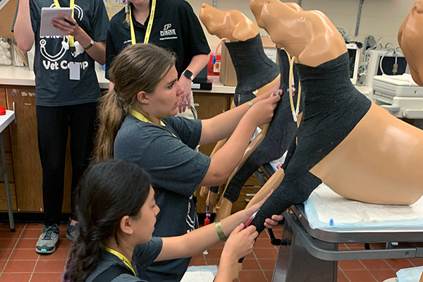 two junior vet campers working with dog models