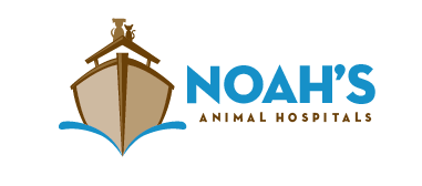 Noah's Logo