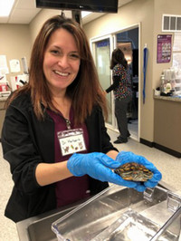 Jennifer Herbert, DVM