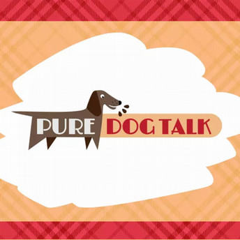 Pure Dog Talk Podcast Logo with an orange background and a drawing of a Dachshund 