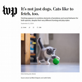 Screen shot of the washington post article about the cat/dog fetch study