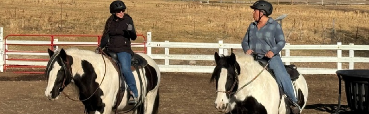 Banner_96