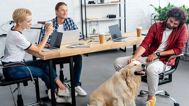 a dog in the office with three employees