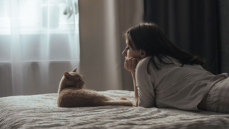 in a dimly lit room, a woman laying on a bed looks at her cat