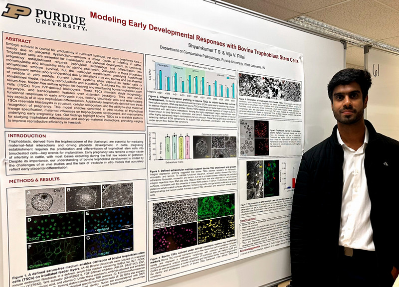 Shyam Poster