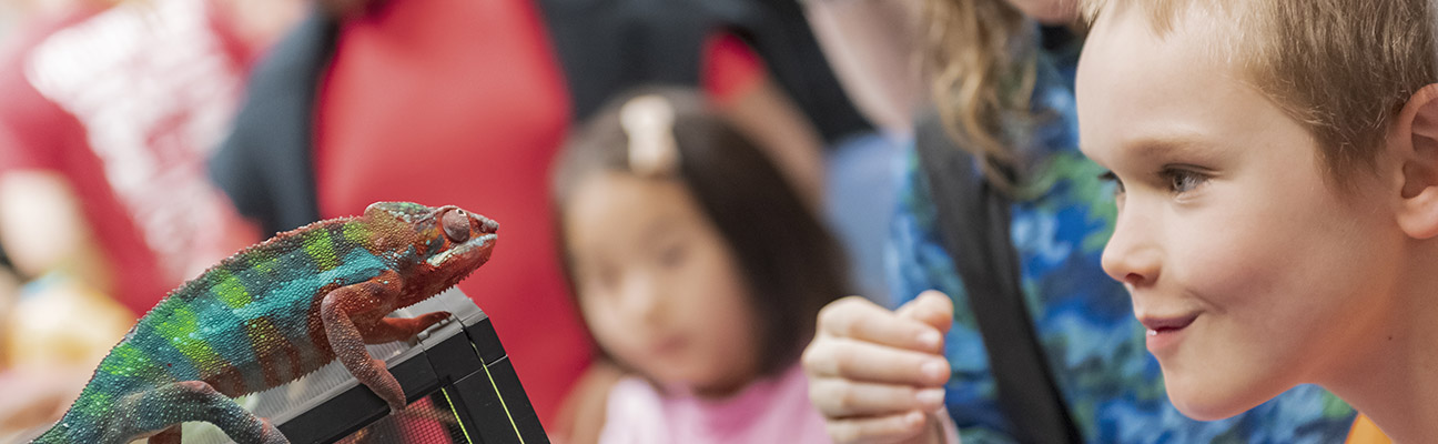 a student looking at a reptile