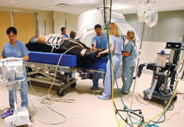 horse MRI
