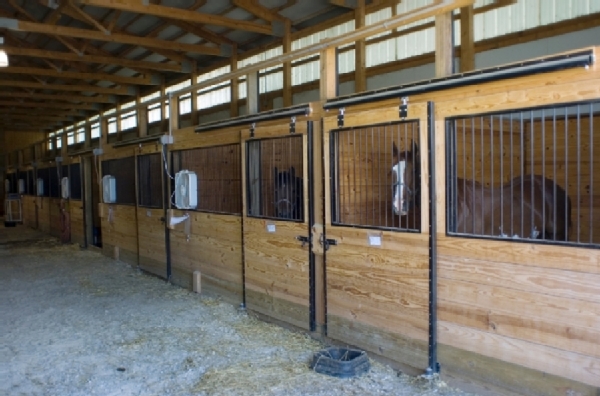 Equine Health Science Annex interior