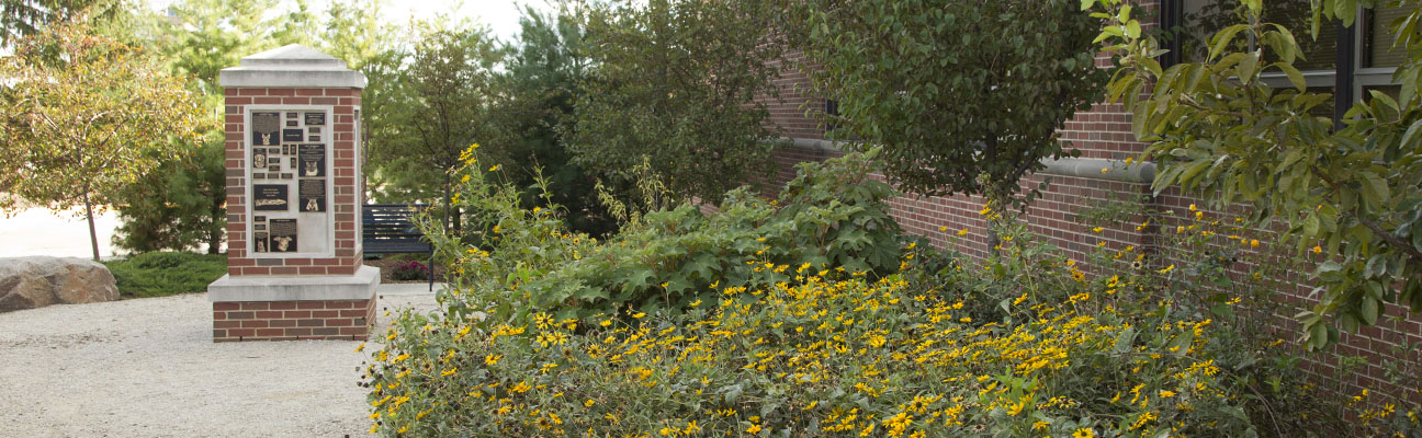 the pet tribute garden with flowers in full bloom