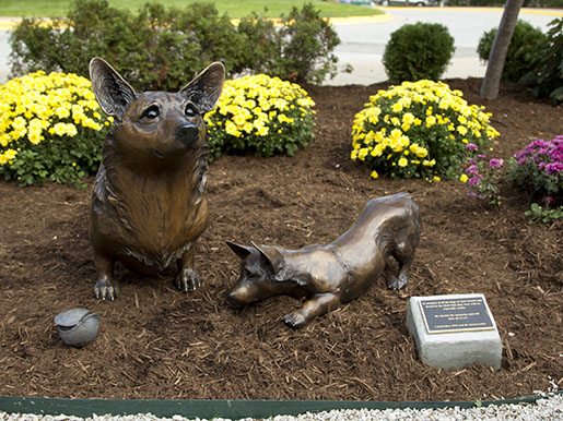 a full size statue of a corgi