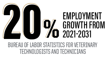 20% employment growth from 2021-2031 from the bureau of labor statistics for vet techs