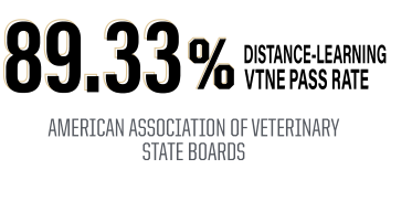 89.33% distance learning program vtne pass rate