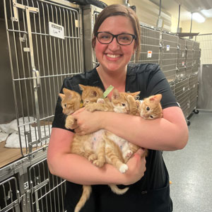 A bundle of orange kittens being held by a veterinary technician