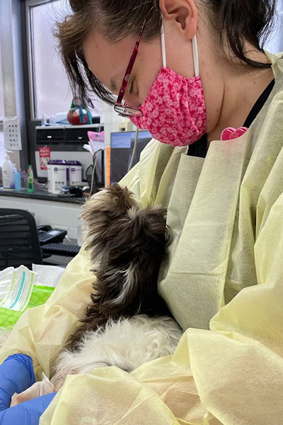 technician holding a dog