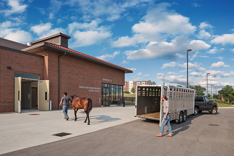 image of Equine Reception Area