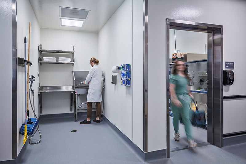 image of Canine and Feline Wards