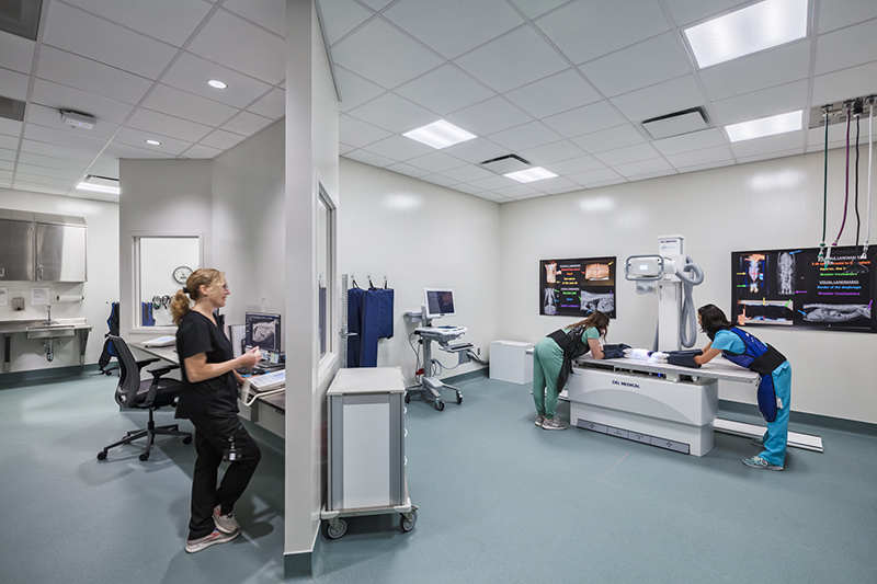 image of Diagnostic Imaging