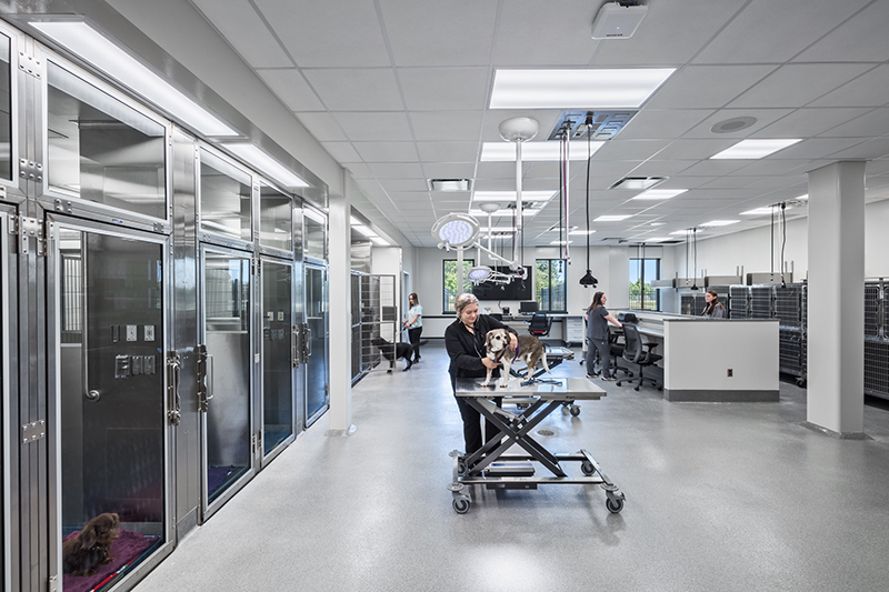 image of Intermediate Care