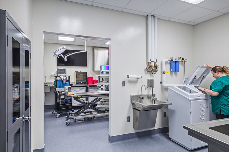 image of Internal Medicine