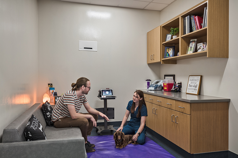 image of Physical Rehabilitation and Neurology