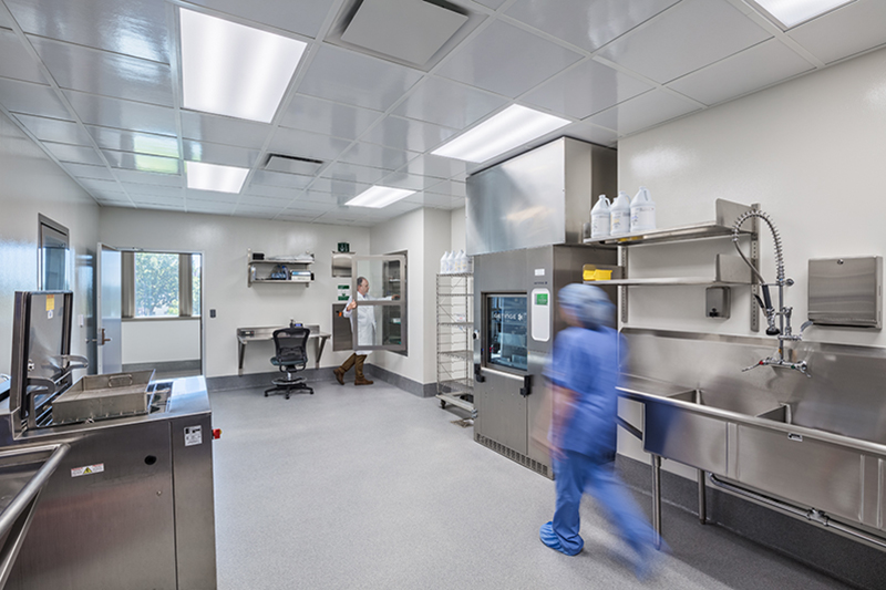 image of Sterile Processing
