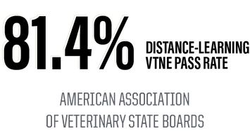 81.4% distance learning program vtne pass rate