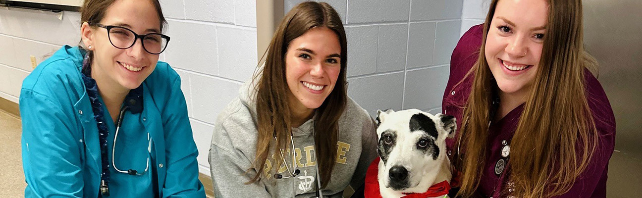 Three veterinary nursing students with a dog